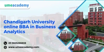 Online BBA of Business Analytics in Chandigarh University